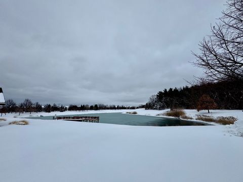 Tiny photo for 9177 Ritz Court, Huntley, IL 60142 (MLS # 12516853)