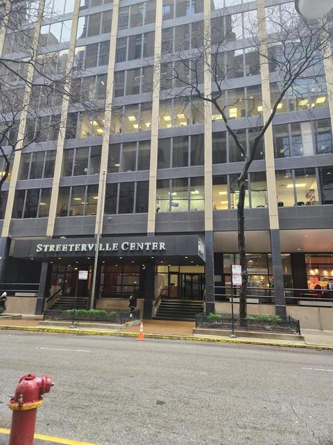 233 E Erie Street E 2310 Chicago IL 60611