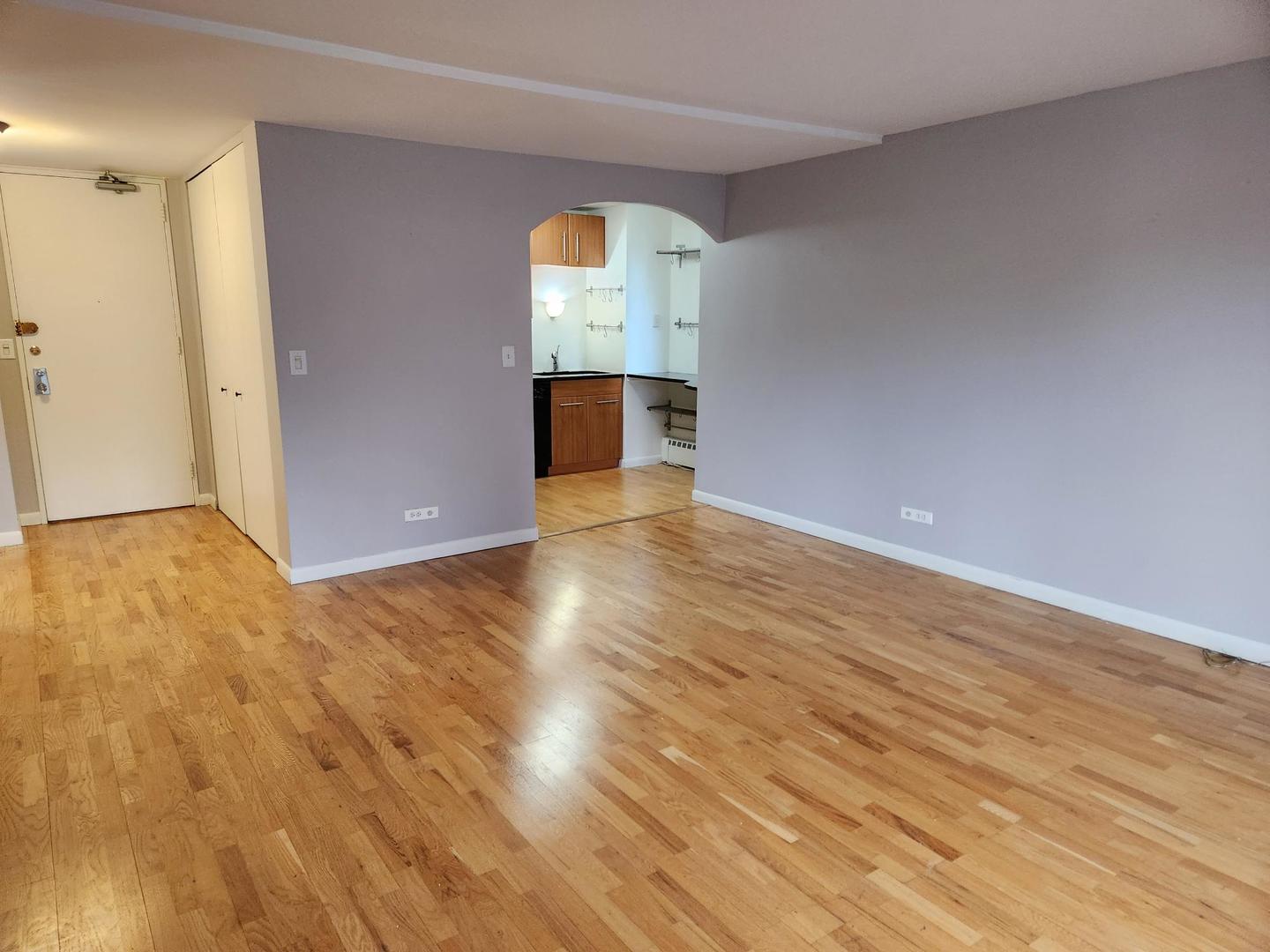 233 E Erie Street E 2310