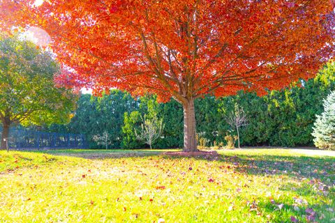 Tiny photo for 1307 Longford Lane, Bloomington, IL 61704 (MLS # 12517491)