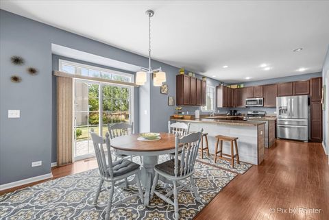 Tiny photo for 9743 Rainsford Drive, Huntley, IL 60142 (MLS # 12503231)