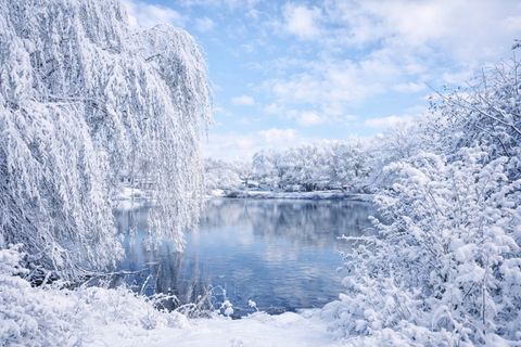 Tiny photo for 26900 W Taylor Street, Barrington, IL 60010 (MLS # 12491404)