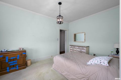 Tiny photo for 2503 30TH Street, Rock Island, IL 61210 (MLS # QC4269861)