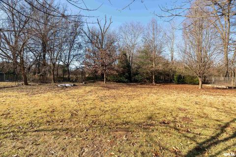 Tiny photo for 203 Fairway Vista Road, Murphysbor, IL 62966 (MLS # EB460706)