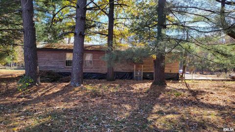 Tiny photo for 2417 W CHERRY Street, Herrin, IL 62948 (MLS # EB460548)