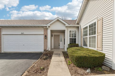 Photo of 647 S Cadillac Circle, Romeoville, IL 60446 (MLS # 12609695)