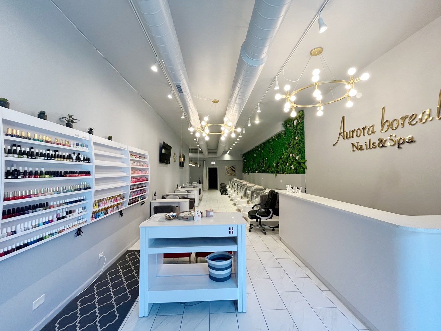 2104 W BELMONT Avenue 1E