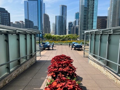 Tiny photo for 474 N LAKE SHORE Drive #1810, Chicago, IL 60611 (MLS # 12792816)