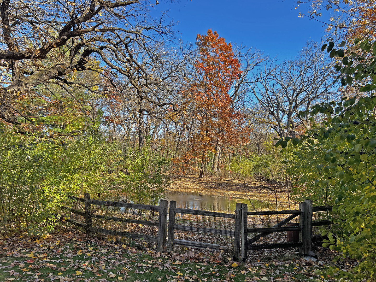 109 Crooked Creek Trail