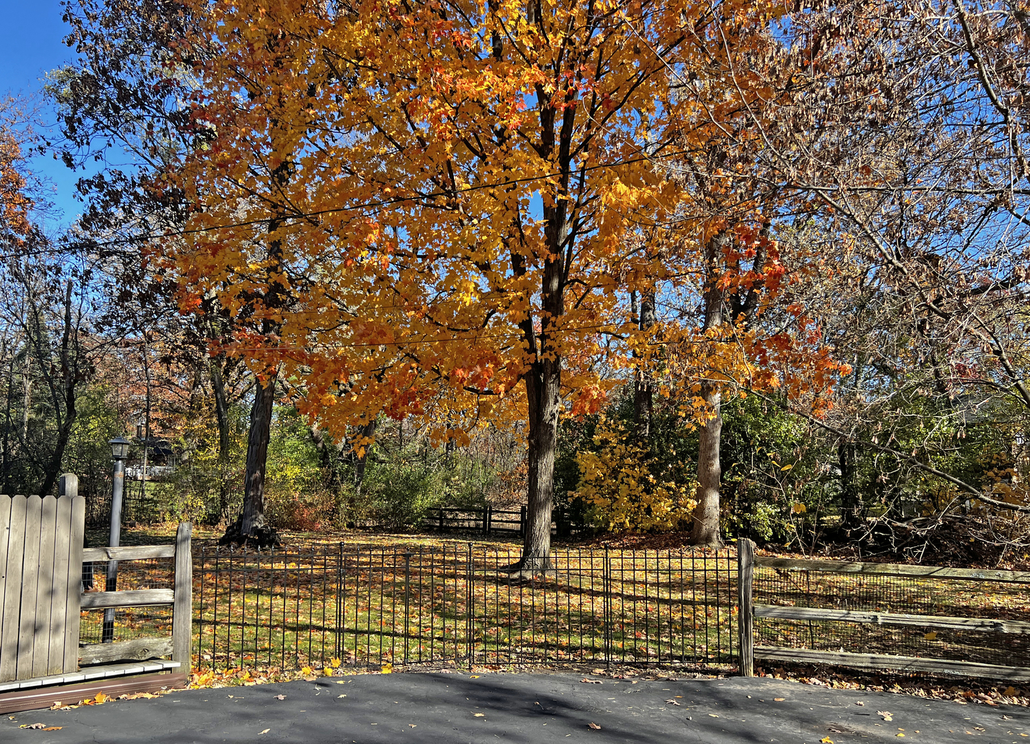 109 Crooked Creek Trail