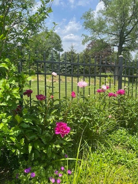 Tiny photo for 13210 S 85th Avenue, Palos Park, IL 60464 (MLS # 12573974)