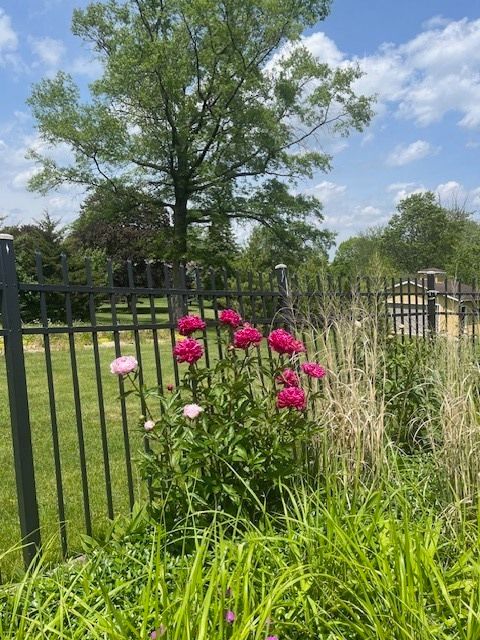 Tiny photo for 13210 S 85th Avenue, Palos Park, IL 60464 (MLS # 12573974)