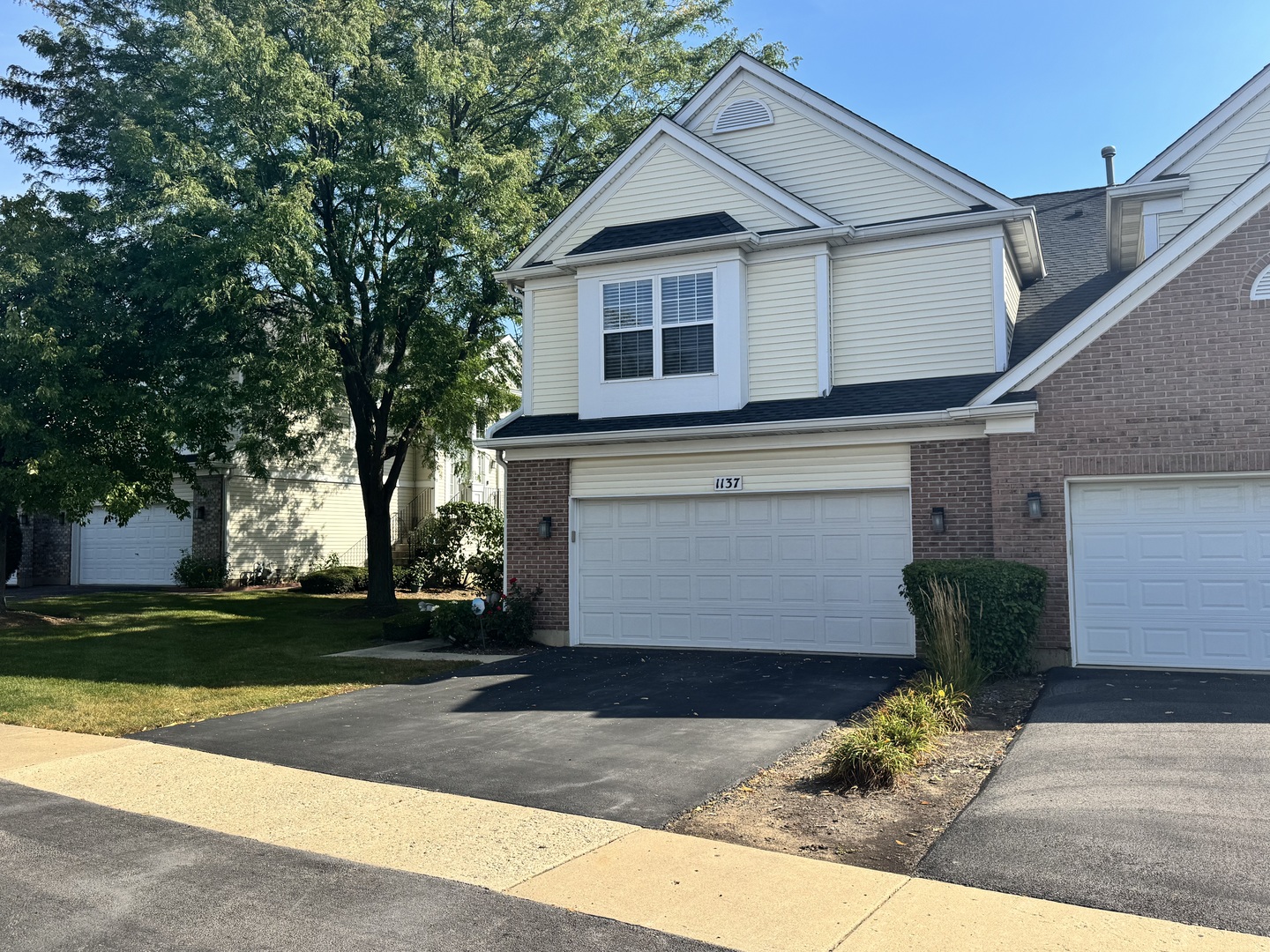 1137 Lillian Lane