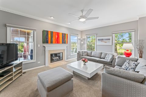 Tiny photo for 566 W Bridge View Court, Palatine, IL 60067 (MLS # 12474434)