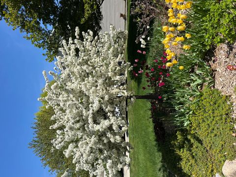 Tiny photo for 6641 Thomas Parkway, Rockford, IL 61114 (MLS # 12512237)