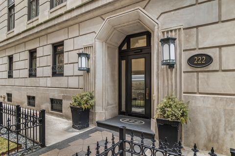 222 E Chestnut Street 3D Chicago IL 60611