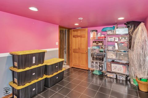 Tiny photo for Chicago, IL 60619 (MLS # 12582619)