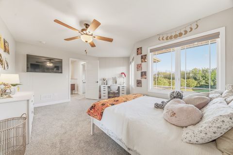 Tiny photo for 20328 Taliesin Way, Frankfort, IL 60423 (MLS # 12490835)