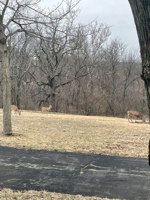 Tiny photo for 17539 E 2600 North Road, Lexington, IL 61753 (MLS # 12585690)