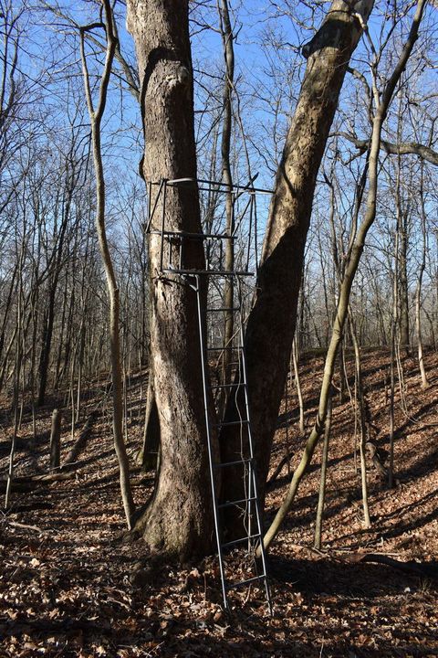 Tiny photo for 17539 E 2600 North Road, Lexington, IL 61753 (MLS # 12585690)