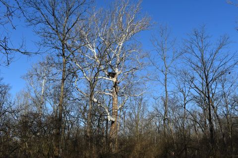 Tiny photo for 17539 E 2600 North Road, Lexington, IL 61753 (MLS # 12585690)