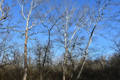 Tiny photo for 17539 E 2600 North Road, Lexington, IL 61753 (MLS # 12585690)