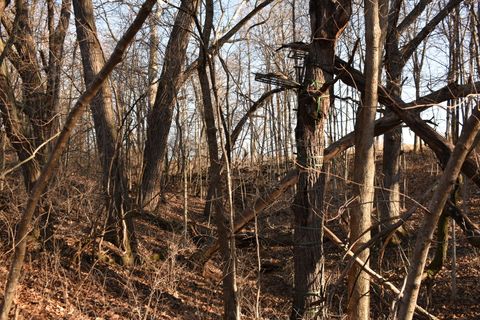 Tiny photo for 17539 E 2600 North Road, Lexington, IL 61753 (MLS # 12585690)