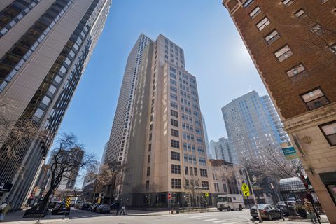 Photo of 1035 N Dearborn Street #9W, Chicago, IL 60610 (MLS # 12599406)