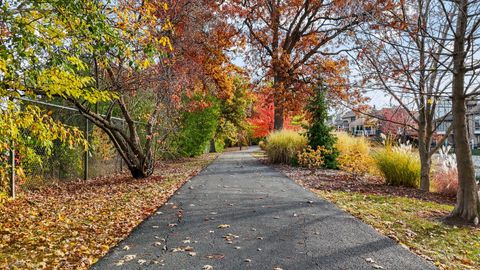 Tiny photo for Orland Park, IL 60462 (MLS # 12529445)