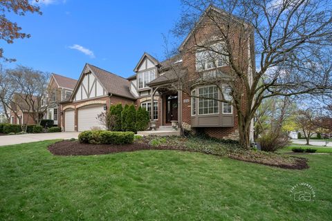 1651 Eagle Brook Drive Geneva IL 60134