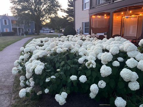 Tiny photo for 54 Plymouth Court #102D, Naperville, IL 60565 (MLS # 12604589)