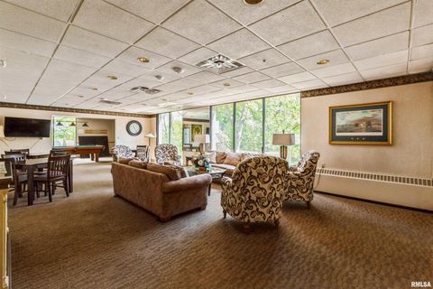 Tiny photo for 1800 7TH Street #2A, East Moline, IL 61244 (MLS # 12605335)