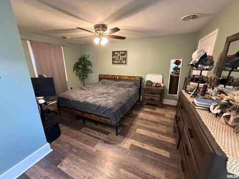 Tiny photo for 605 Follis Avenue, Johnston City, IL 62951 (MLS # QC4269697)