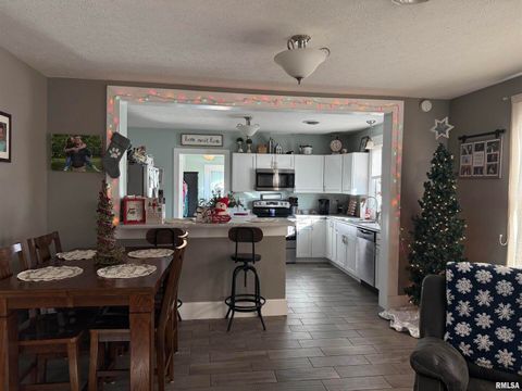 Tiny photo for 605 Follis Avenue, Johnston City, IL 62951 (MLS # QC4269697)