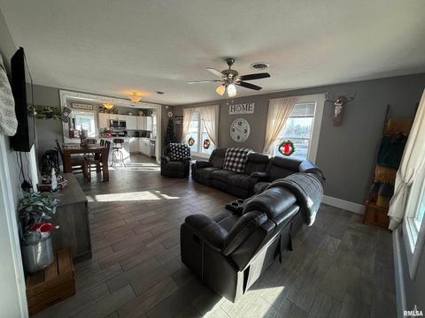 Tiny photo for 605 Follis Avenue, Johnston City, IL 62951 (MLS # QC4269697)