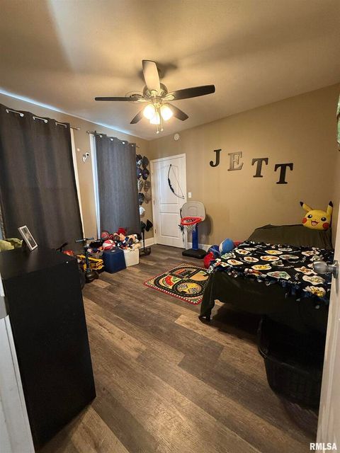 Tiny photo for 605 Follis Avenue, Johnston City, IL 62951 (MLS # QC4269697)