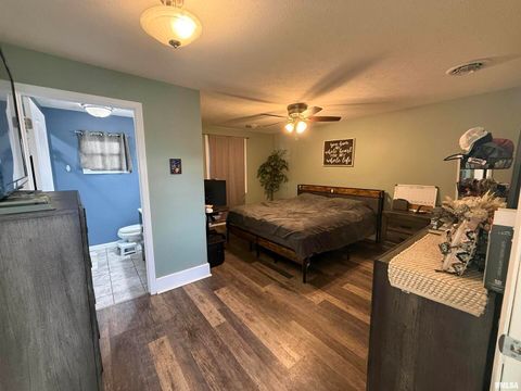 Tiny photo for 605 Follis Avenue, Johnston City, IL 62951 (MLS # QC4269697)