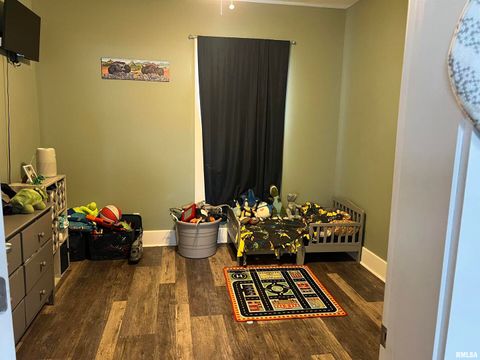 Tiny photo for 605 Follis Avenue, Johnston City, IL 62951 (MLS # QC4269697)