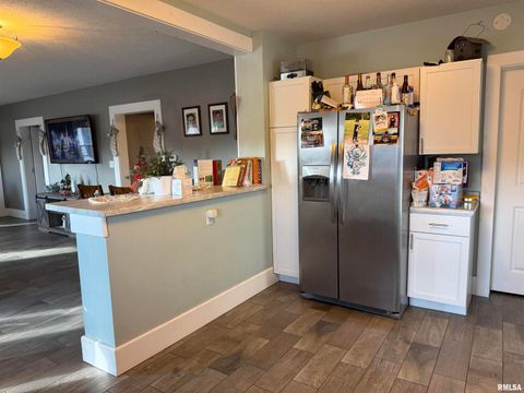 Tiny photo for 605 Follis Avenue, Johnston City, IL 62951 (MLS # QC4269697)