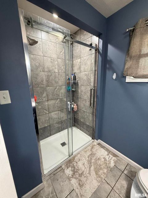 Tiny photo for 605 Follis Avenue, Johnston City, IL 62951 (MLS # QC4269697)