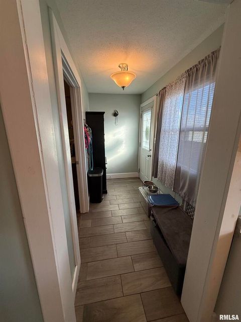 Tiny photo for 605 Follis Avenue, Johnston City, IL 62951 (MLS # QC4269697)