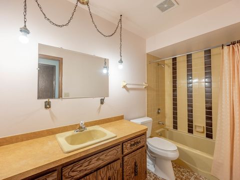 Tiny photo for 14533 Mallard Drive, Homer Glen, IL 60491 (MLS # 12502316)