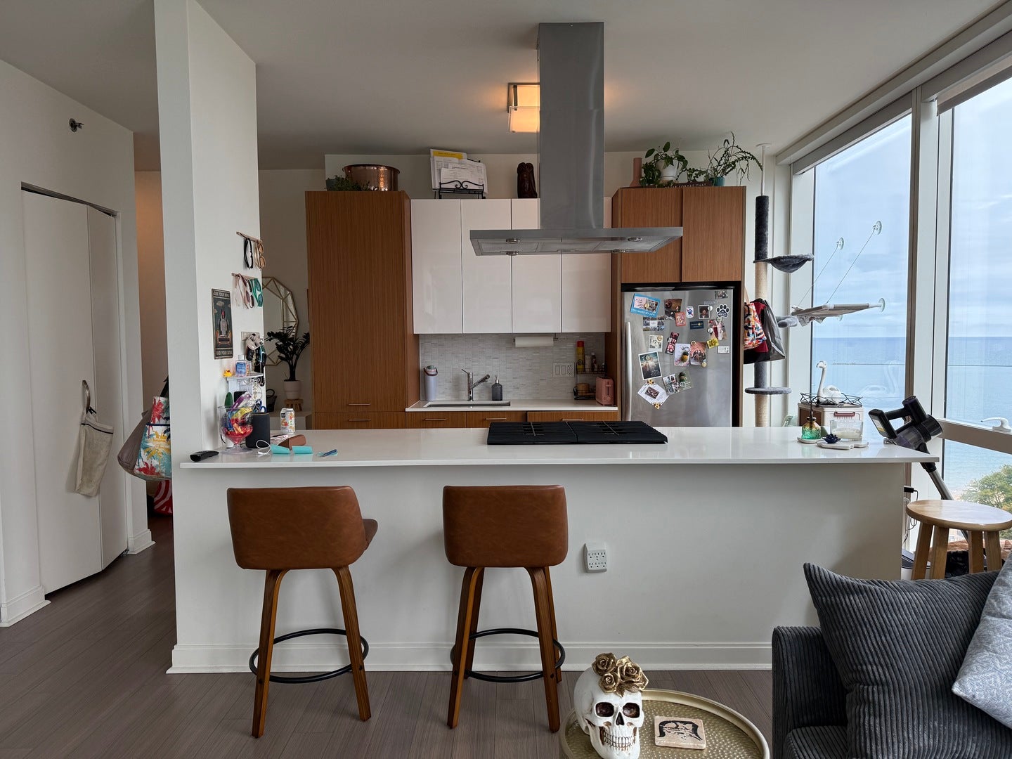 500 N Lake Shore Drive 1614