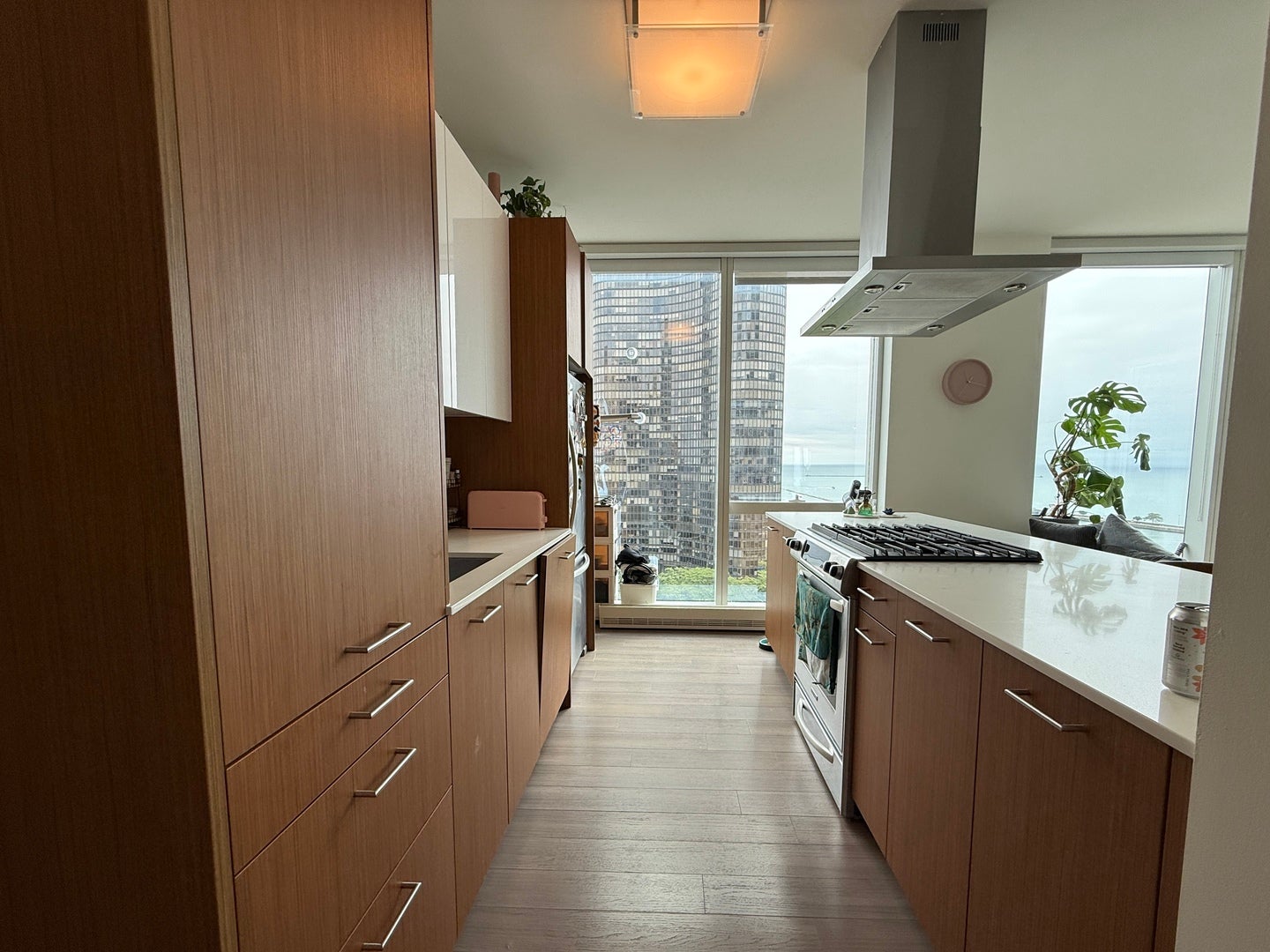 500 N Lake Shore Drive 1614