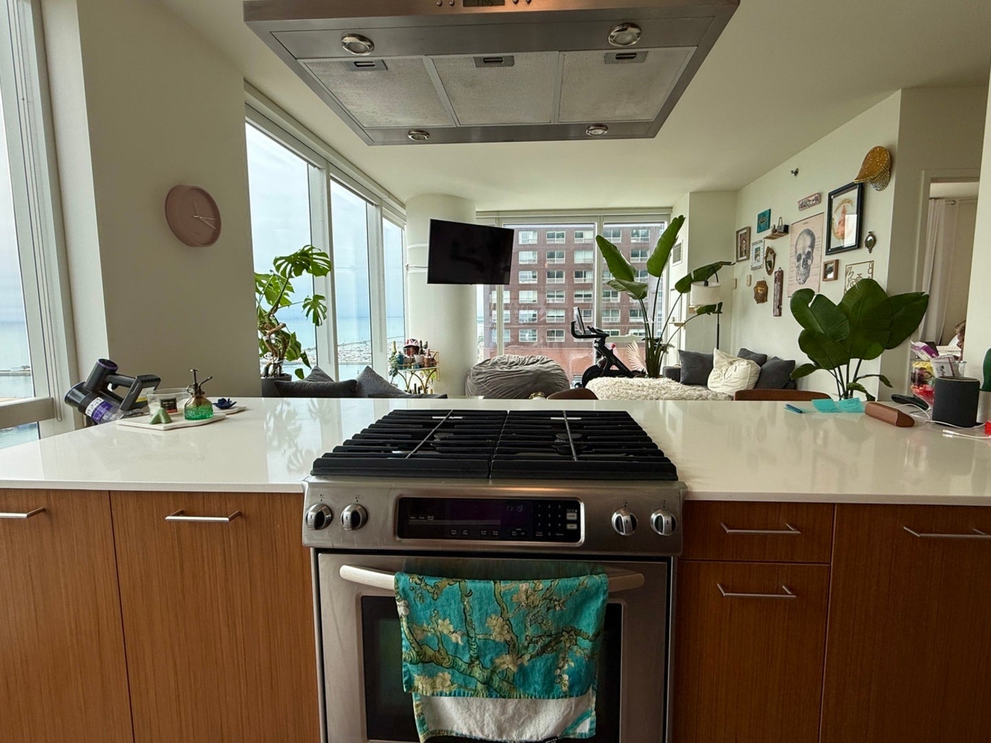 500 N Lake Shore Drive 1614