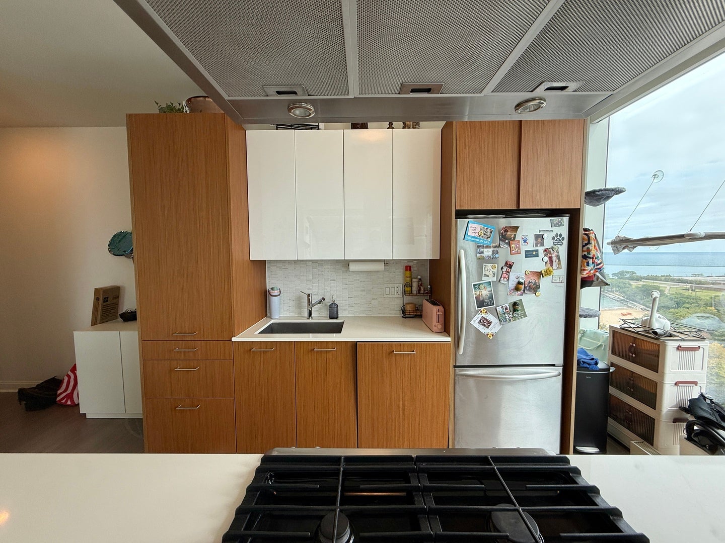 500 N Lake Shore Drive 1614