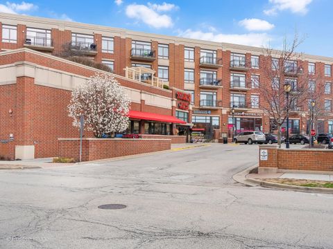 Tiny photo for 170 N Northwest Highway #407, Park Ridge, IL 60068 (MLS # 12329984)