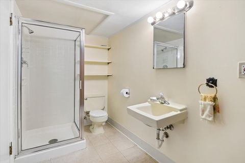 Tiny photo for 1024 S Spring Avenue, La Grange, IL 60525 (MLS # 12660170)