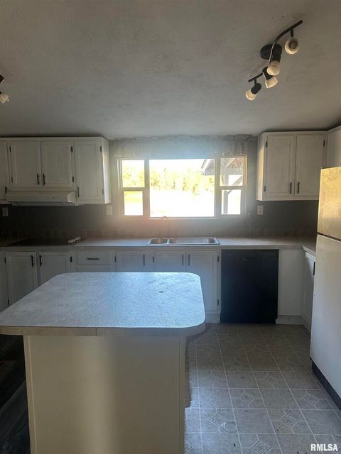 Tiny photo for 165 Nile Lane, Creal Springs, IL 62922 (MLS # QC4260353)