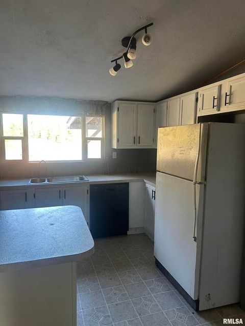 Tiny photo for 165 Nile Lane, Creal Springs, IL 62922 (MLS # QC4260353)